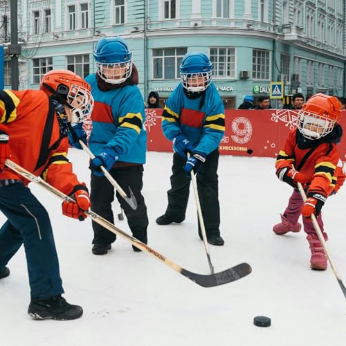 image for Faswin 18 Pack Ice Hockey Pucks with 3 Reusable Mesh Bag, Official Reg