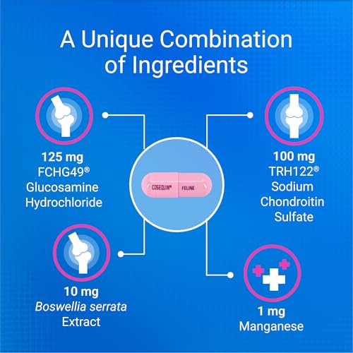 Nutramax Cosequin for Cats Joint Health Supplement, Contains Glucosamine for Cats, Plus Chondroitin and Boswellia, Supports Healthy Joints, For All Breeds and Sizes, Sprinkle Capsules, 60 Count