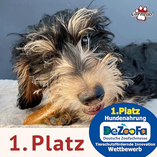 Carnello Welpenkaugummi – Welpen Leckerlies, Kauknochen Hund Welpe, Kauartikel Hund, Hundeleckerli getreidefrei – Wiederverschließbare Beutel (8 x 60g)