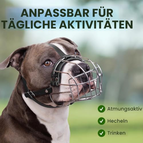 BronzeDog Maulkorb für Hunde aus Metall – Amstaff Drahtkorb mit verstellbaren Lederriemen für große Hunde