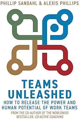 Teams Unleashed: How to Release the Power and Human Potential of Work Teams
