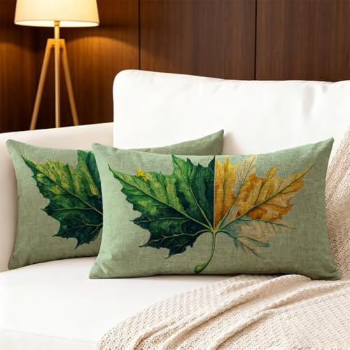 Housse de coussin extérieur imperméable de qualité supérieure imprimé double face