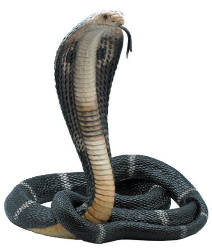 LA COBRA/HOW MUCH SNAKE CAN YOU TAKEメロハー Unicorn Studios WU75184AA King Cobra Snake Sculpture