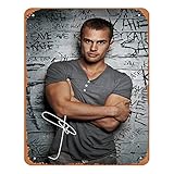 Vintage Tin Sign Theo James Pre Signed Photo Print Musical Bar Pub Cafe Wall Kitchen Bathroo Poster Karaoke Retro Decor Art 8x12 inch Film and Television Metal Tin Sign.