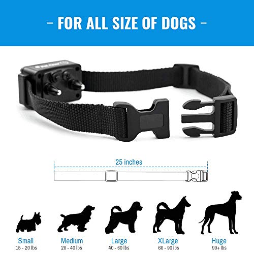 petainer dog collar