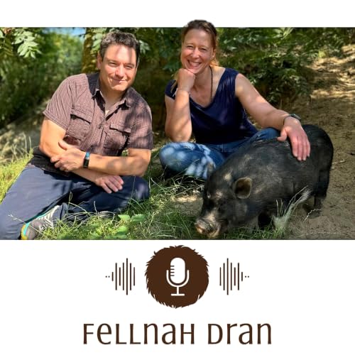 『Fellnah Dran』のカバーアート