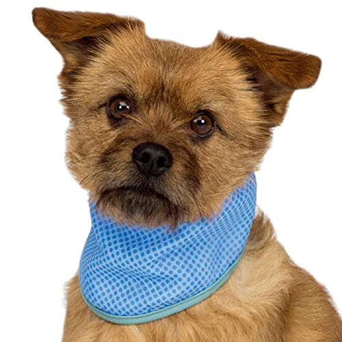 STMK Valentinstags-Hundehalstücher 2er-Set – Rot, Mit Sprüchen „My Mom Is My Valentine“ & „Love“ – Verstellbar, Für Hunde Bis 50 Cm Halsumfang