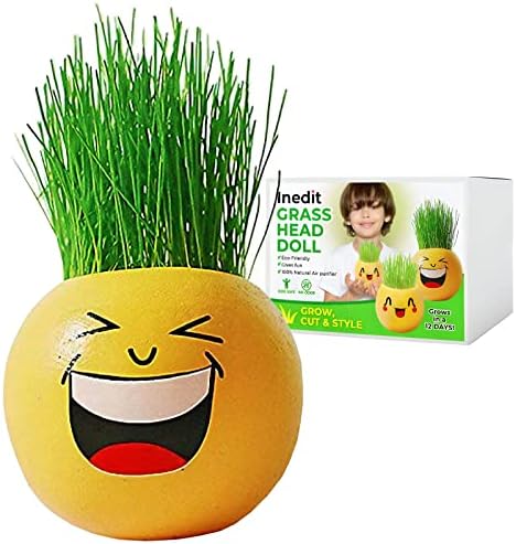 Grow Your Own Kits - Grow Your Own Hairy Funny Smiley - Perfect Cute and Funny Gift for Men Women Kids - Fresh Grass Plant for Home and Garden Decoration