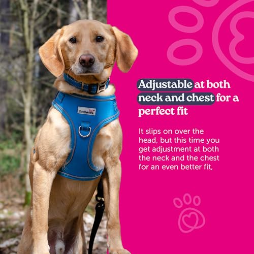 Harnais Doodlebone Airmesh réglable Dunes taille 4-7 chien de taille moyenne - 5