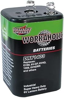 Interstate Batteries 6 Volt Battery, HD Lantern Battery (DRY1403)