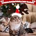 Axinyijia Weihnachten Haustier Stirnband Hundekostüm, Weihnachtsmütze Hund Geschenk Weihnachtsschal Katzen Weihnachtskostüm Hunde Elch Haarreif