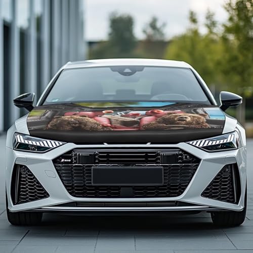 Image of Car Front Hood Cover,Bear Driving Print for Cars,Measuring 39.37 inchx59.05 inch(100x150cm) Windshield Snow Cover for Cars,Trucks,Vans