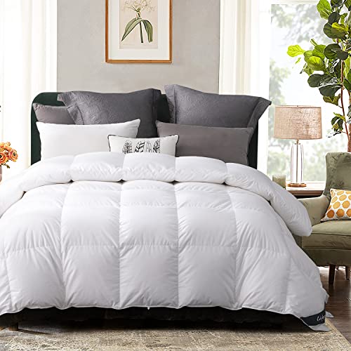 Globon Goose Down Comforter Queen Size, 800 Fill Power All Seasons Luxury Duvet Insert, Soft 420 Thread Count Noiseless Shell, Medium Weight with 8 Corner Tabs,White
