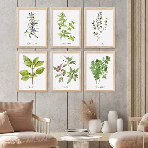 Image of kotart Kitchen Herbs Digital Painting for Restaurant Dinning Room Wall Decoration - Minimal Cooking Herbs Wall Art Prints for Kitchen Decor (13X17 INCH, D) Pack of 6