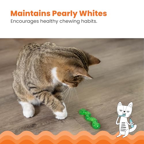 Catstages Orkakat Wiggle Worm - Katzenspielzeug mit Katzenminze - zum Kauen & für die Zahnpflege