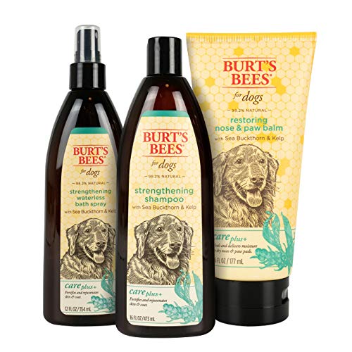 Burt's Bees for Pets Care Plus+ Naturally Derived Sea Buckthorn & Kelp Restoring Nose & Paw Lotion - Heals & Moisturizes Dog Noses and Paws - pH Balanced for Dogs - Made in USA, 6 Oz Bottle of Lotion