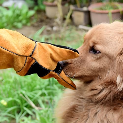 MZSX Bissfeste Handschuhe für den Umgang mit Tieren, 45cm Anti-Biss Arbeitshandschuhe, Reptilien Handhabungshandschuhe, für Schweißen, Gartenarbeit, Umgang mit Katze/Hund/Vogel/Schlange/Reptil