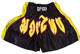 Para Muay Thai, Thai Boxing, Muay boran, kick boxing