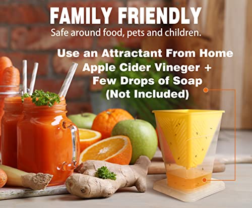 Fruit Fly Trap, 4 Pack - Image 4