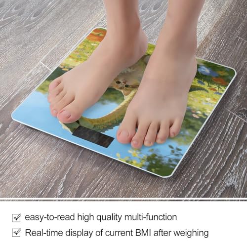 Báscula digital de baño con pantalla LED clara miniatura 5