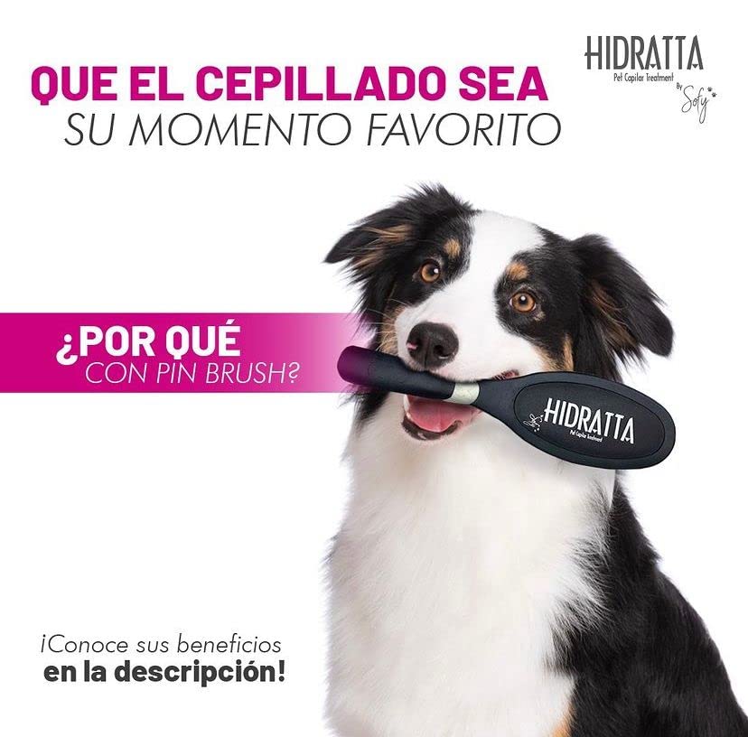 Miniatura 3 de Cepillo para mascotas - cepillo mantequilla