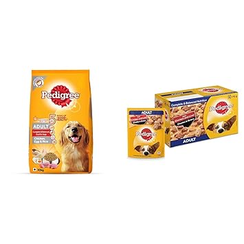 Pedigree Combo for Adult Dogs- Dry Dog Food, (High Protein Variant) Chicken, Egg & Rice, 10 kg Pack & Wet Dog Food, Chicken & Liver Chunks in Gravy, 70 g (Pack of 15)