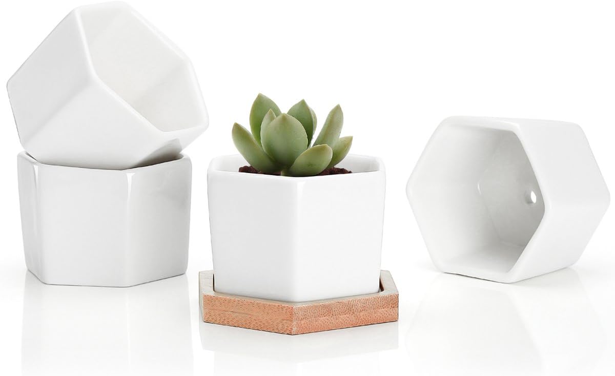Hexagon Pots