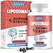 Produktbild 2000 MG liposomales Nicotinamid-Ribosid-Ergänzungsmittel, mit TMG und Pterostilben, steigert NAD+