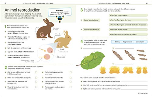 How to Be Good at Science, Technology and Engineering Workbook, Grades 2-5: Technology & Engineering