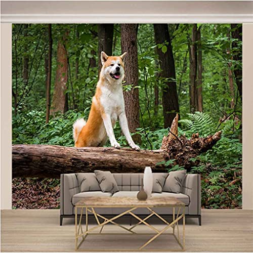 Papier peint moderne 3D chien animal forêt salon - 3