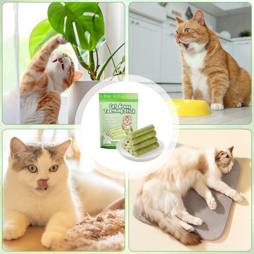 OSDUE 6 Stück Katzengras Snack, Cat Grass Teething Stick, Katzengras Sticks Gefriergetrocknet Snacks für Katzen, Katzenminze, Beißstab aus katzengras, für die Zahnpflege und Haarknäuel Entfernen