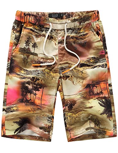 SSLR Men's Printed Quick Dry Drawstring Hawaiian Beach Board Shorts (34, Multicolor)