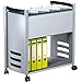 Produktbild Hängeregistraturwagen Mappenboy tec-art/3023 B 66 x T 37,5 x H 74 cm alusilber