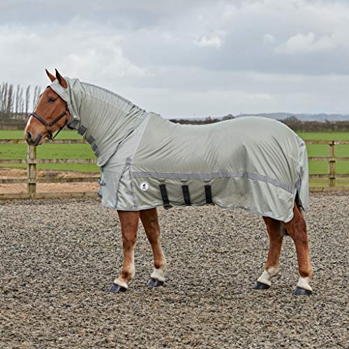 Horse Rugs 6 9 for sale in UK 28 used Horse Rugs 6 9