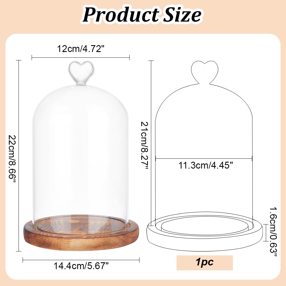 WADORN Cupola In Vetro Trasparente Con Manico A Cuore – Base In Legno Beige, 20x14 Cm Per Oggetti Da Collezione E Piante