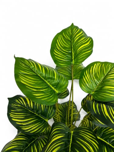 Image of Cocco.BUA Artificial Plant with Black Pot, 18 Leaves, 76 CM (2.5 Feet) (Calathea Plant)