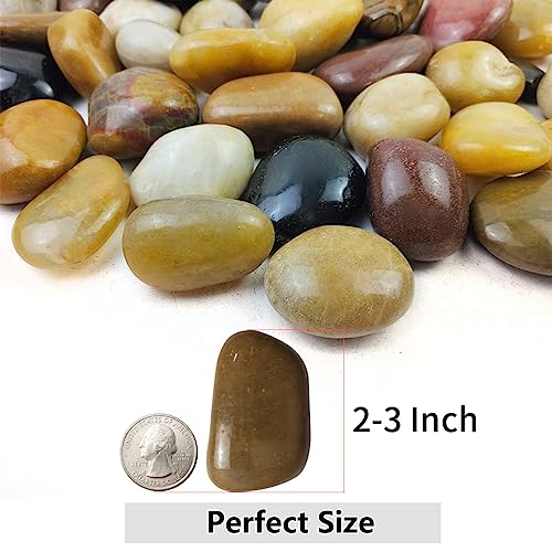 Yiszm YI-WUCAI5LB4-6 5Lbs Pebbles For Indoor Plants, 2-3 Inch Mixed Color High Polished Large River Rocks Outdoor Decorative Stones Vase Filler Fish Tank Aquariums Landscaping Garden Outdoor And Indoor Diy thumb #1