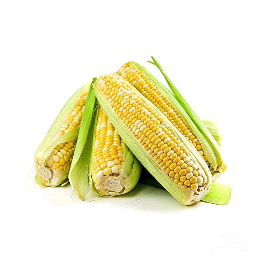 See full amazon price history chart for Sweet Corn Seeds Hybrids F1 Vegetable Seeds for Home Garden for Planting for All Season (200 seeds) By Zabbus Sweet Corn Seeds Hybrids F1 Vegetable Seeds for Home Garden for Planting for All Season (200 seeds) By Zabbus (B0BHZHPPBC) Amazon Price History, Amazon Price Tracker