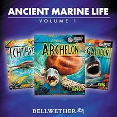 Page de couverture de Ancient Marine Life, Volume 1