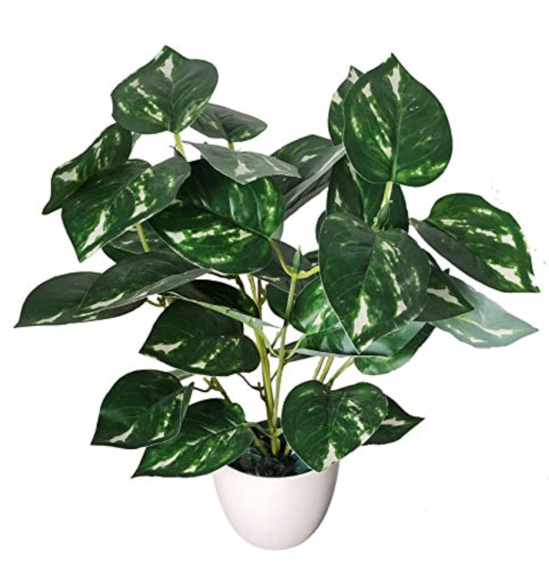 Natural Looking Money Plant Bonsai Artificial Plant