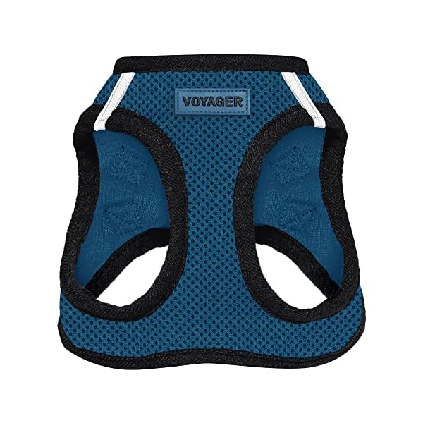 Voyager Step-in Air Dog Harness – All Weather Mesh Step in Vest Harness for Small and Medium Dogs by Best Pet Supplies – Harness (Blue/Black Trim), Large Voyager Step-in Air Dog Harness – All Weather Mesh Step in Vest Harness for Small and Medium Dogs by Best Pet Supplies – Harness (Blue/Black Trim), Large