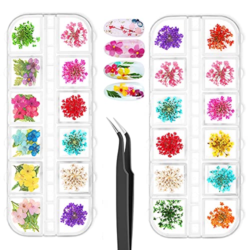 LNKERCO 2 Boxes Nail Dried Flowers, Mini Dried Flowers for Nails Art, Real Natural Dried Flowers, Tiny Dry Flowers for Nails Art, Nail Art Decoration Set, 3D Nail Art kit
