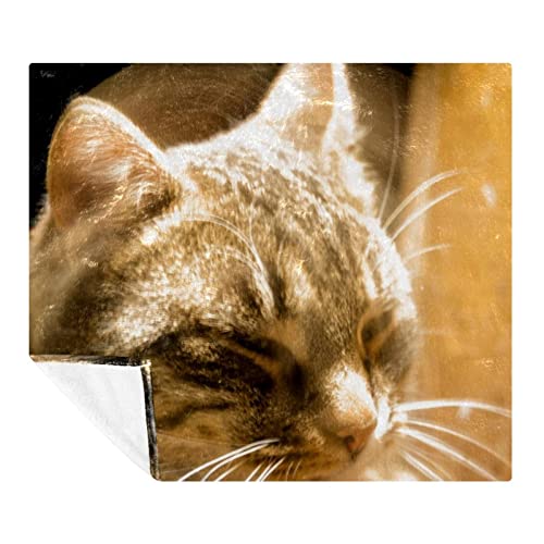 Couverture en peluche chat tigré couverture de sieste douce en microfibre
