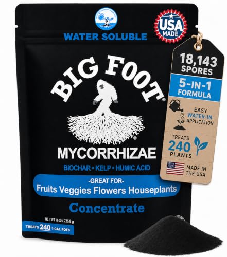Big Foot Mycorrhizae