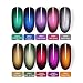 BORN PRETTY Glamorous Cat Eye Gel Polish Soak Off Magnetic Nail UV Jewel Gem Varnish Set 10 Colors and 1 Base Color