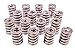 PAC Racing Springs PAC-1294 1.545 Dual Valve Spring