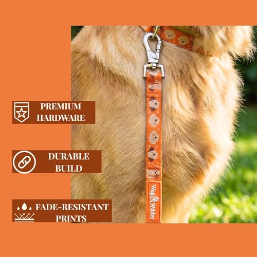 Image of Wag and Wilder Heavy Duty 5 FT Dog Leash for Medium Dogs - Neoprene Padded Handle & Strong Metal Hook (Puppy Parade Orange)