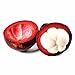 Produktbild Pinkdose SimingD - Mangosteen Seeds Potted Mangosteen Garden Plants Perennials 10 Pieces / 1 bag