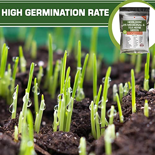 Collection Of Vegetable, Greens, Culinary And Medicinal Herb Seeds For Planting Indoor, Outdoor And Hydroponic - Non-Gmo, Usa Grown - 7500+ Heirloom Seeds #TOP6