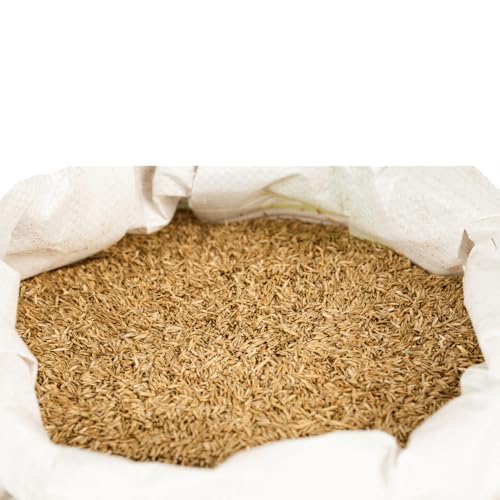 Agrarshop Rasensamen Rasen Universal 20 kg Grassamen Spielrasen Sportrasen